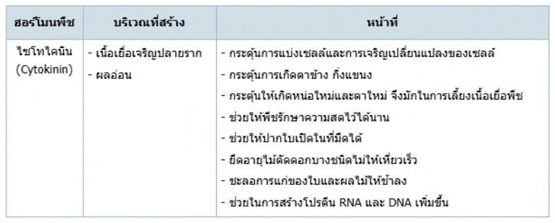 วิธีทำและคำอธิบายเฉลยข้อ 20 — ข้อสอบ เข้ามหาวิทยาลัย วิชาชีววิทยา (มีนาคม 2548)