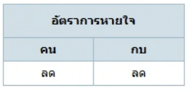 ตัวเลือกที่ 1