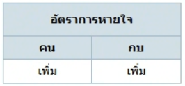 ตัวเลือกที่ 2