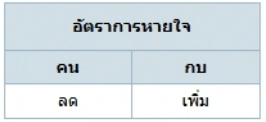 ตัวเลือกที่ 3