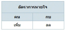 ตัวเลือกที่ 4