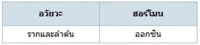 ตัวเลือกที่ 2