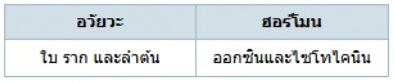 ตัวเลือกที่ 4