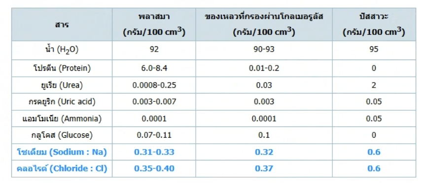 วิธีทำและคำอธิบายเฉลยข้อ 56 — ข้อสอบ เข้ามหาวิทยาลัย วิชาชีววิทยา (มีนาคม 2548)