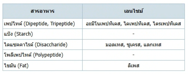 วิธีทำและคำอธิบายเฉลยข้อ 67 — ข้อสอบ เข้ามหาวิทยาลัย วิชาชีววิทยา (มีนาคม 2548)