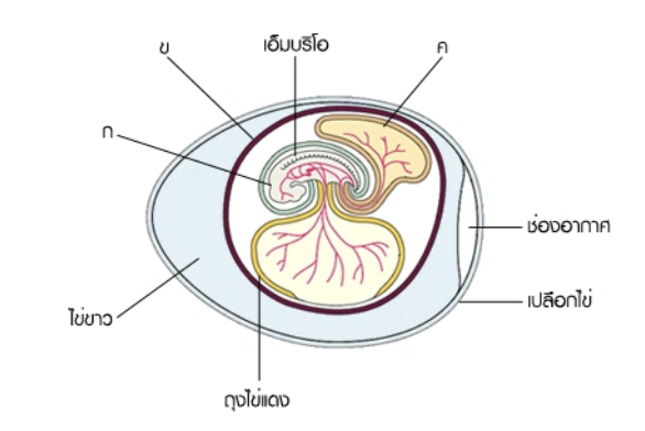 รูปประกอบโจทย์ข้อ 88