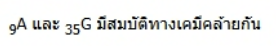 ตัวเลือกที่ 1
